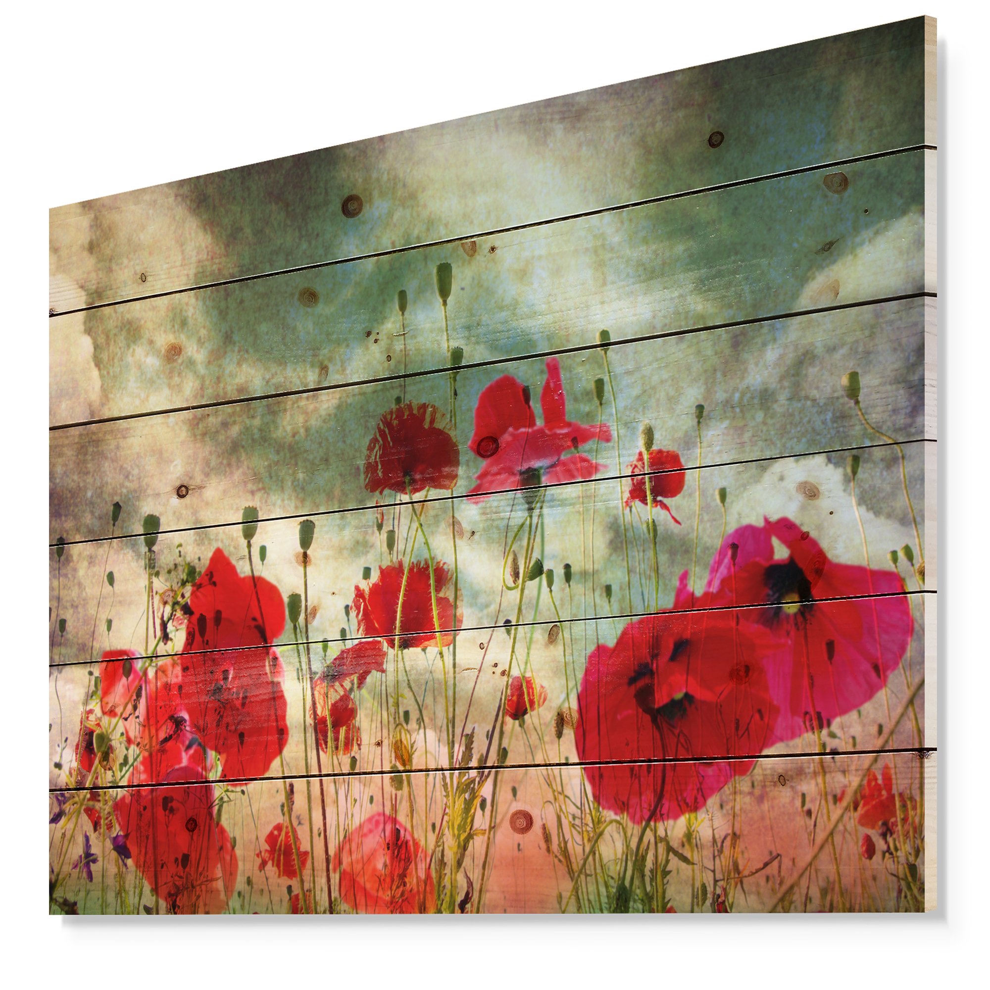Designart 'Wild Red Poppy Flowers in Sky' Floral Print on Natural Pine Wood