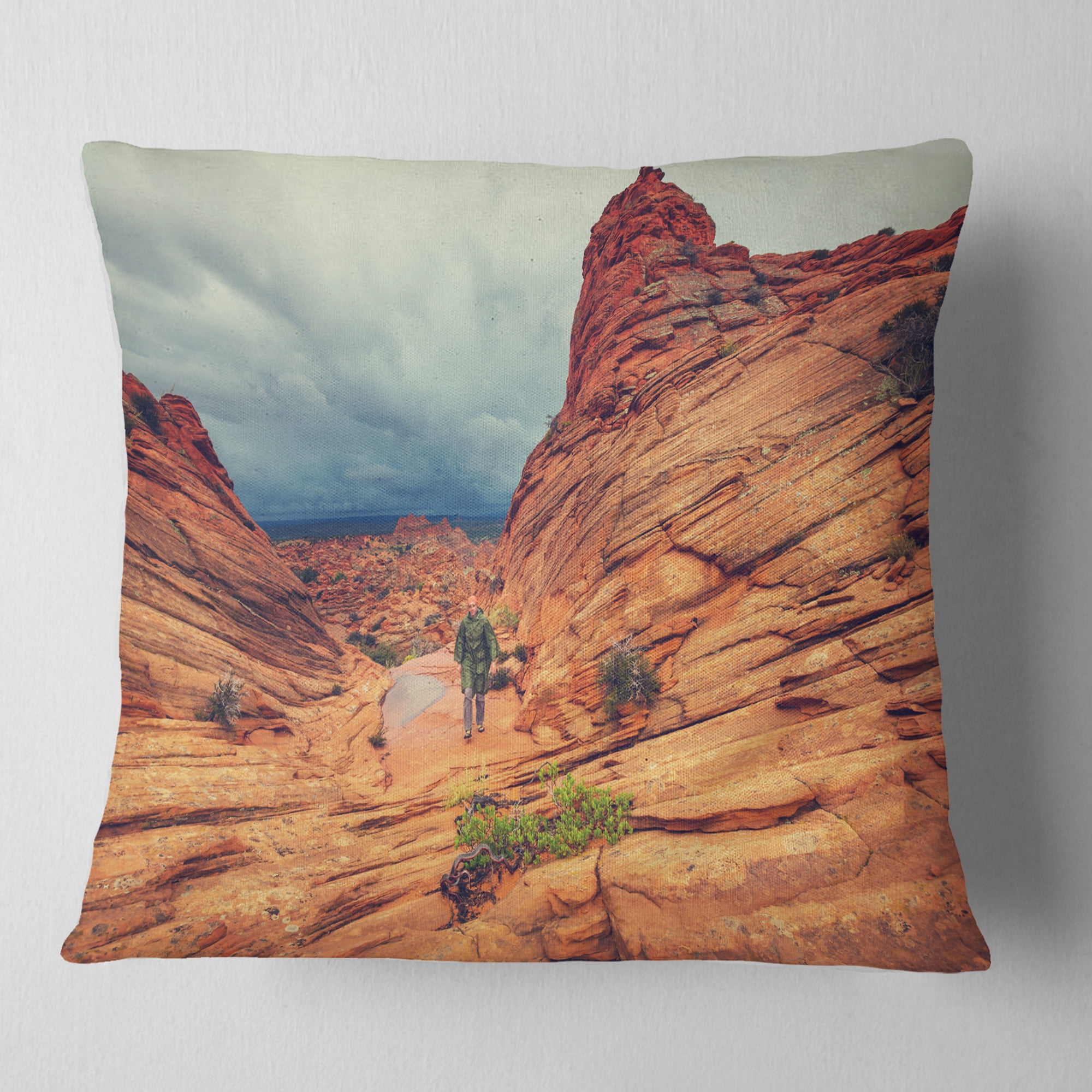 Designart Wild Vermillion Cliffs Utah - Landscape Printed Throw Pillow - 16x16