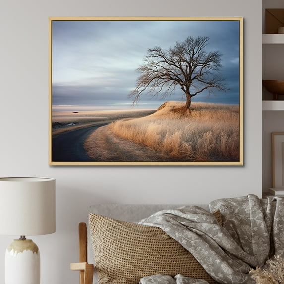 Designart "Winter Charm In Prairie'S Scenic Beauty" Prairies Floater Framed Canvas Prints