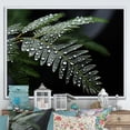 thumbnail image 1 of Designart "Winter'S Enchantment Of Ferns" Ferns Floater Framed Wall Decor, 1 of 5