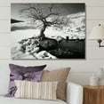 thumbnail image 1 of Designart "Winter Solitude Tree In Black And White" Winter Landscape Wall Art Living Room, 1 of 7