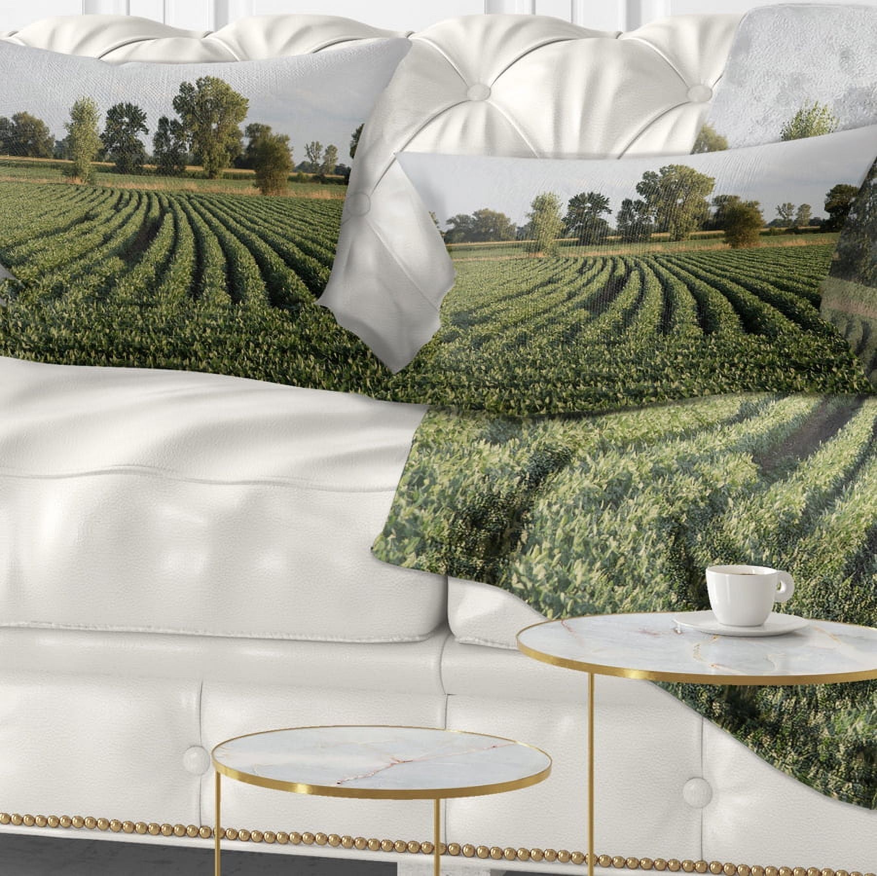 Designart Wisconsin Soybean Field Rows - Landscape Printed Throw Pillow - 12x20
