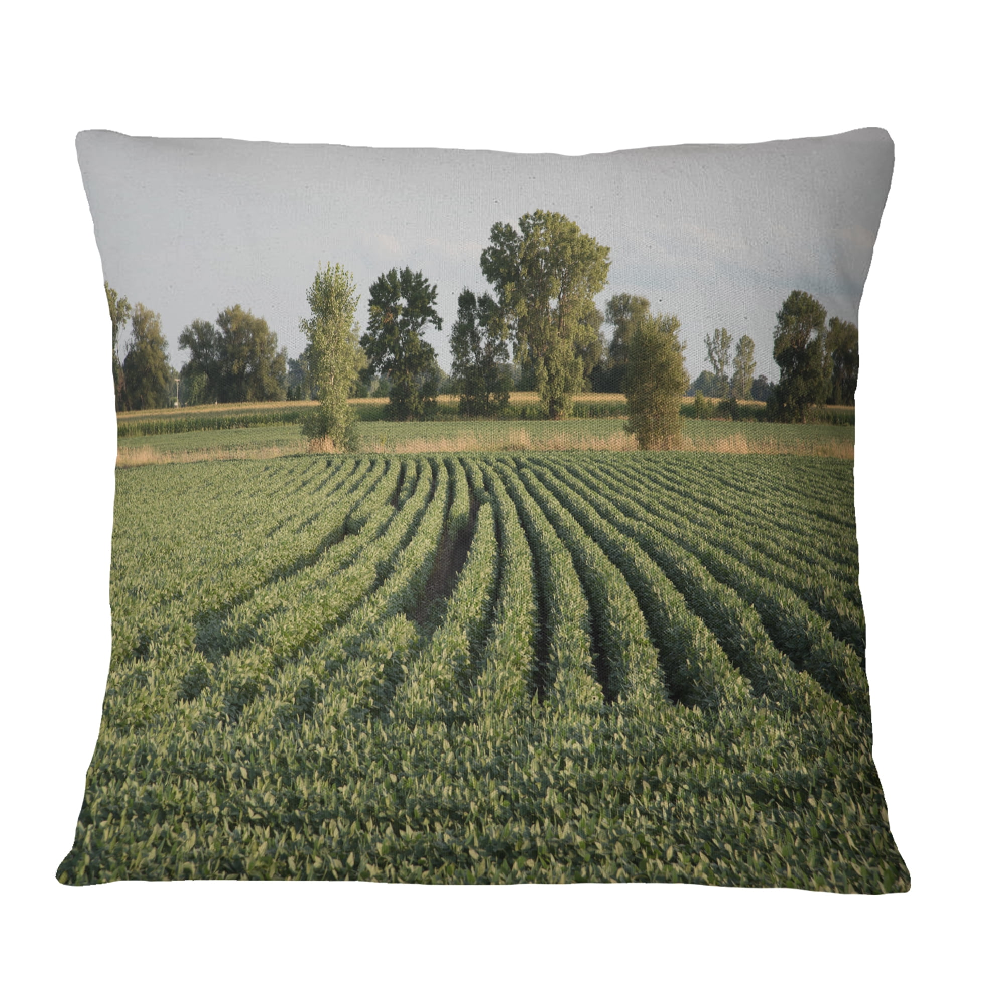 Designart Wisconsin Soybean Field Rows - Landscape Printed Throw Pillow - 18x18