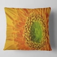 thumbnail image 1 of Designart Yellow Daisy Gerbera Flower Close up - Flowers Throw Pillowwork - 16x16, 1 of 4