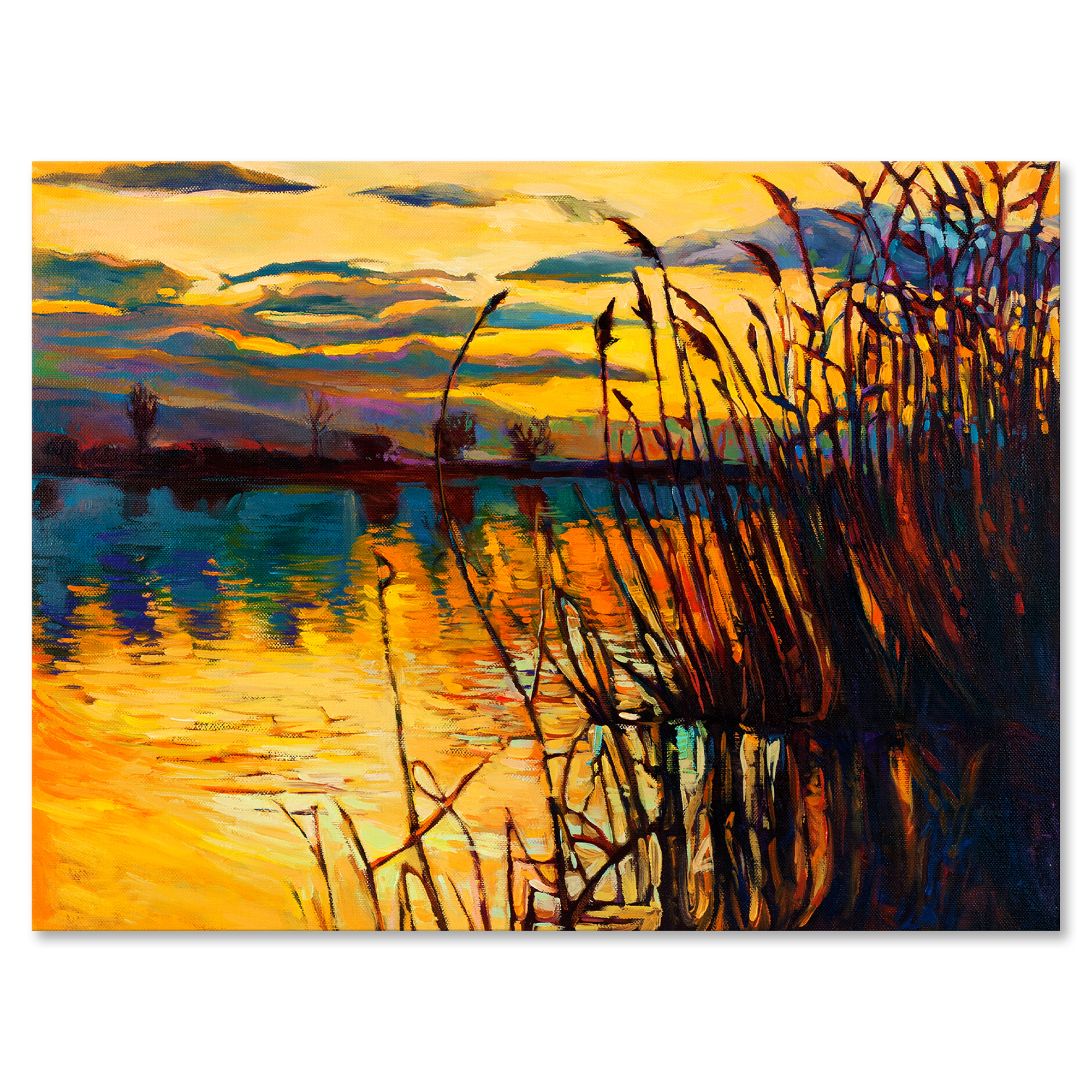 Designart ' Yellow Evening Glow Through The High Grass By The Lake ' Nautical & Coastal Canvas Wall Art Print