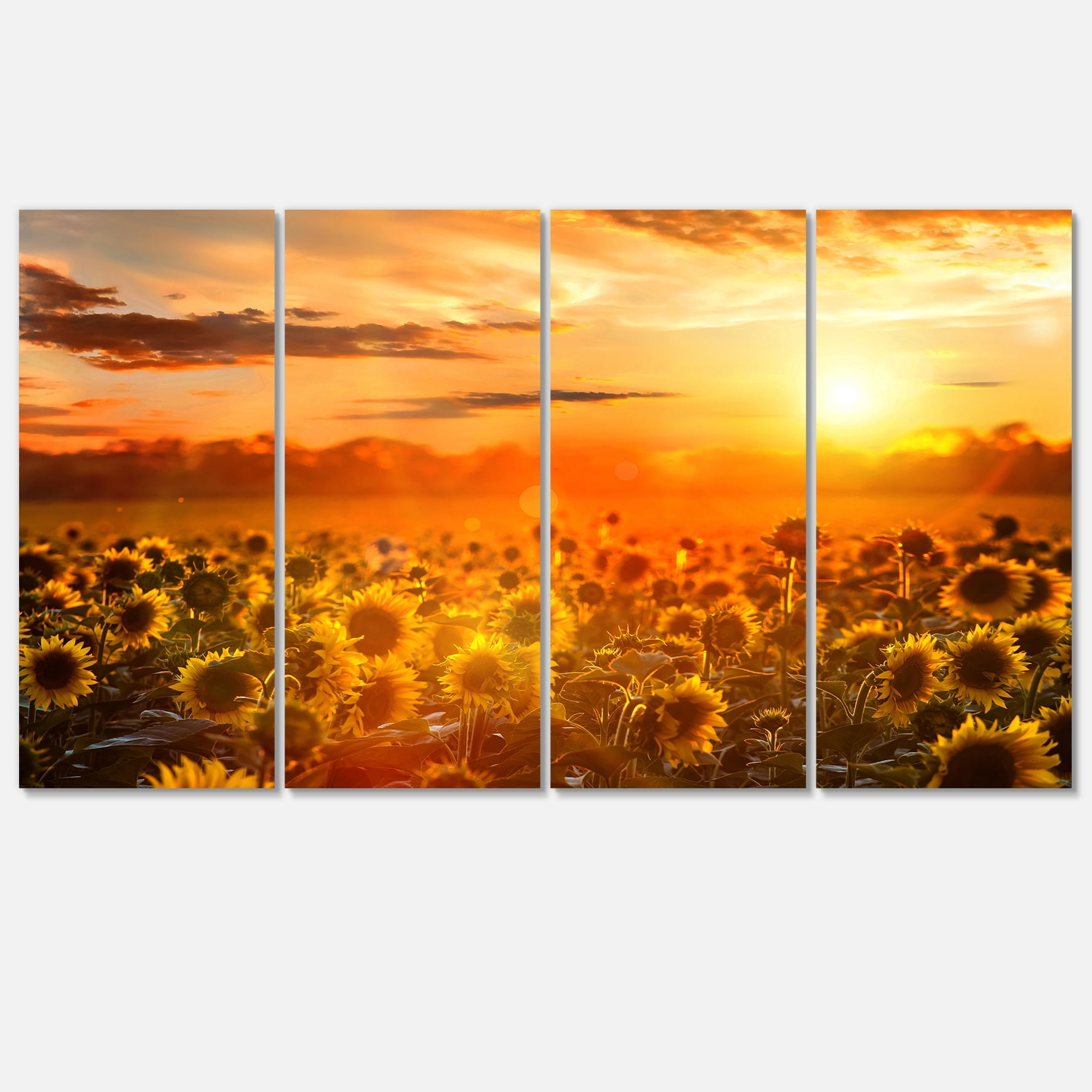 Designart 'Yellow Sunset over Sunflowers ' Floral Photography Art