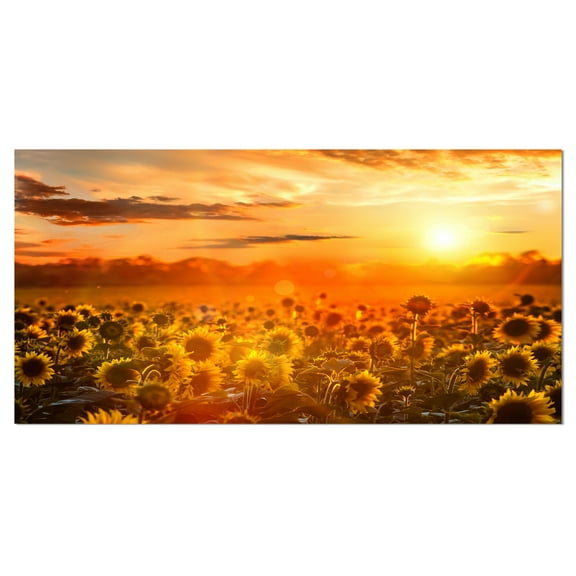 Designart 'Yellow Sunset over Sunflowers ' Floral Photography Art