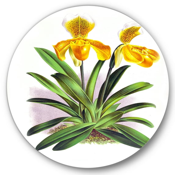 Designart 'Yellow Vintage Orchid' Traditional Circle Metal Wall Art 23x23 - Disc of 23