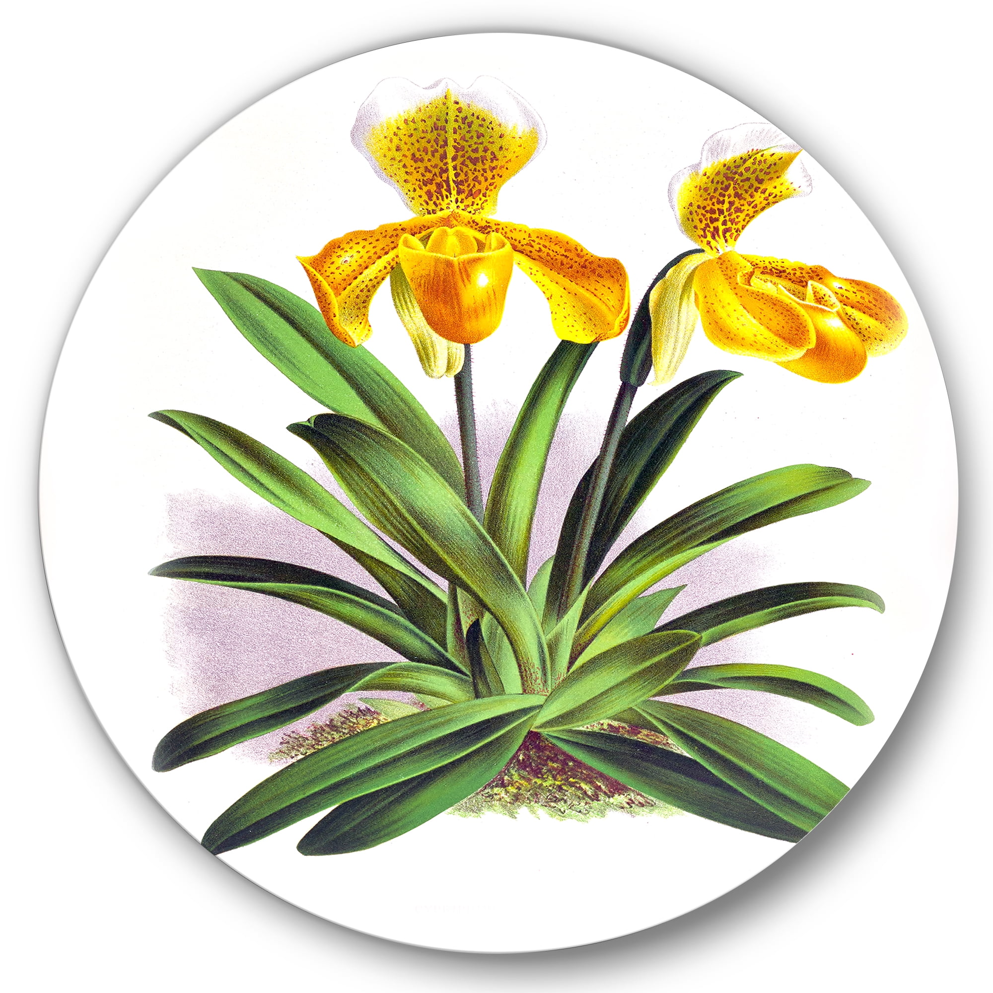 Designart 'Yellow Vintage Orchid' Traditional Circle Metal Wall Art 36x36 - Disc of 36
