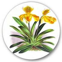 Designart 'Yellow Vintage Orchid' Traditional Circle Metal Wall Art 36x36 - Disc of 36