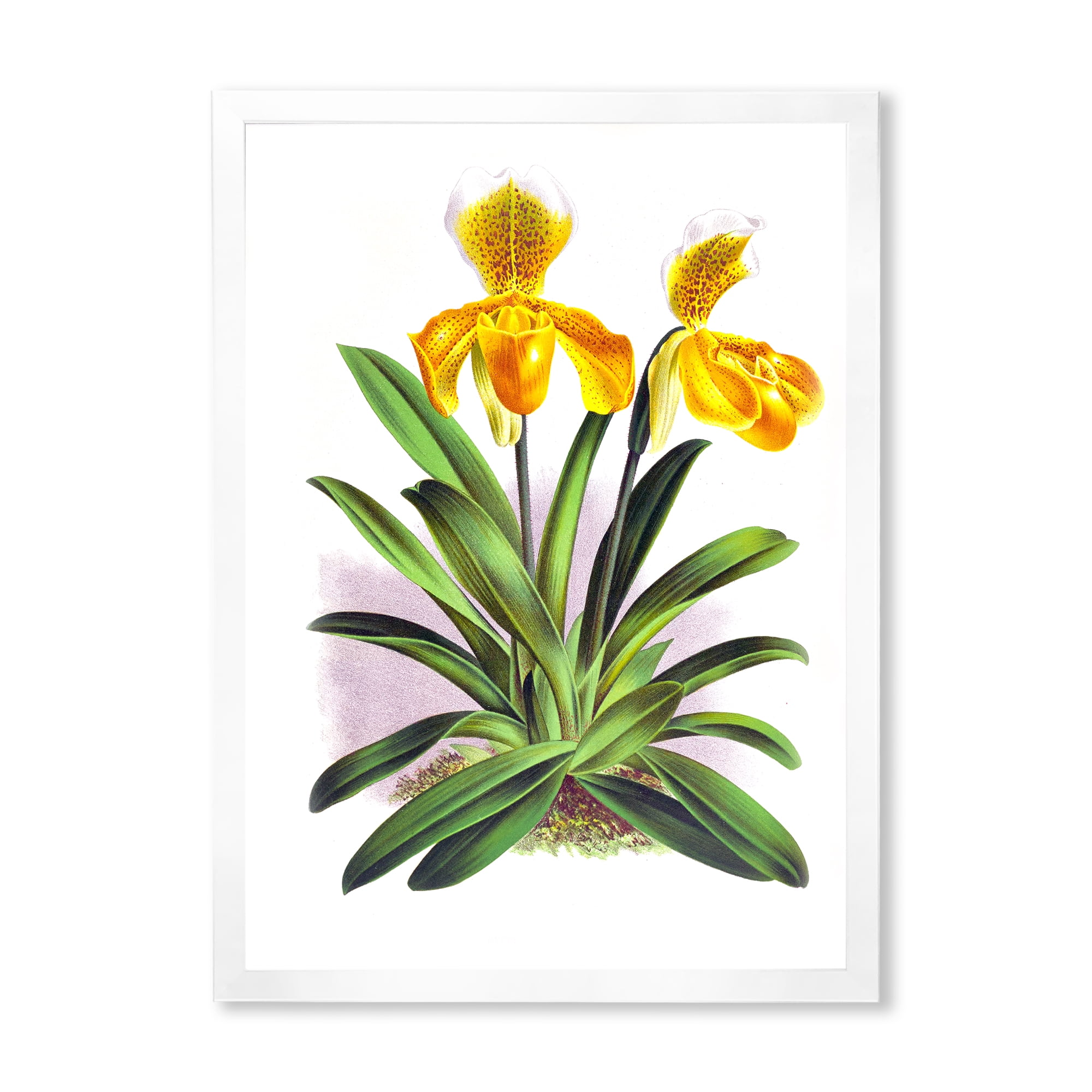 Designart 'Yellow Vintage Orchid' Traditional Framed Art Print