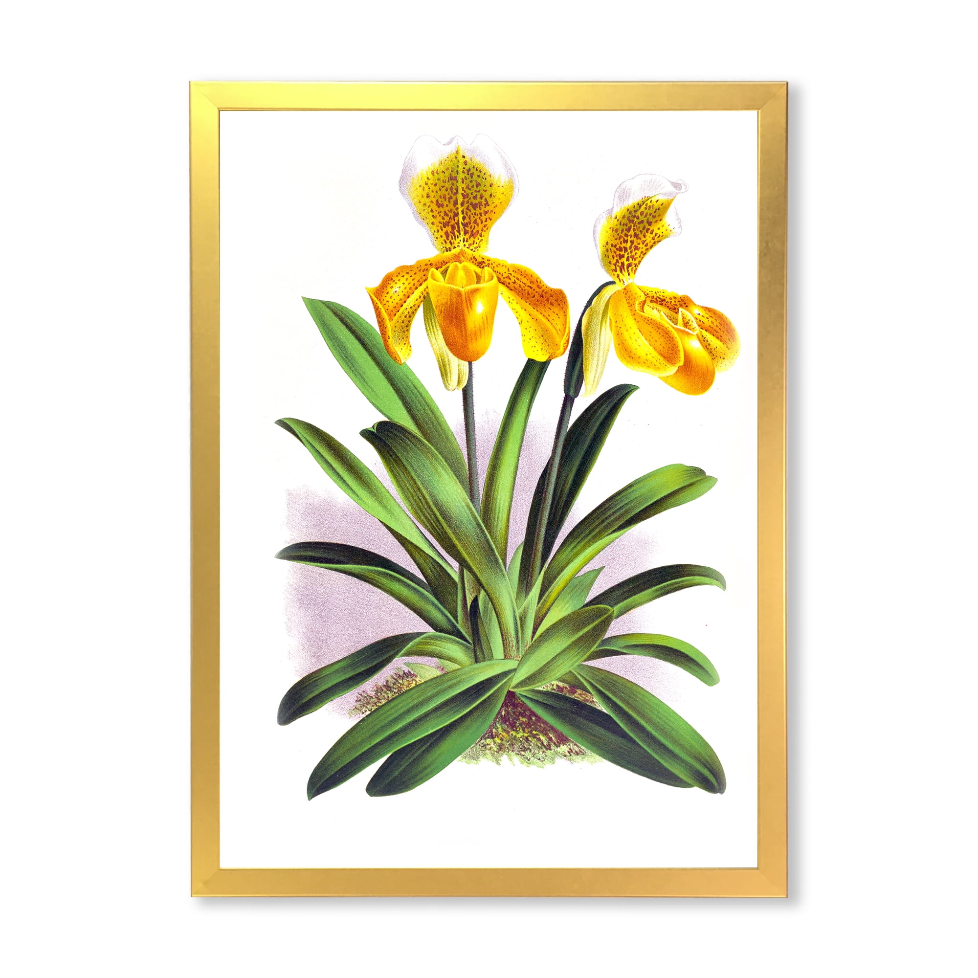 Designart 'Yellow Vintage Orchid' Traditional Framed Art Print