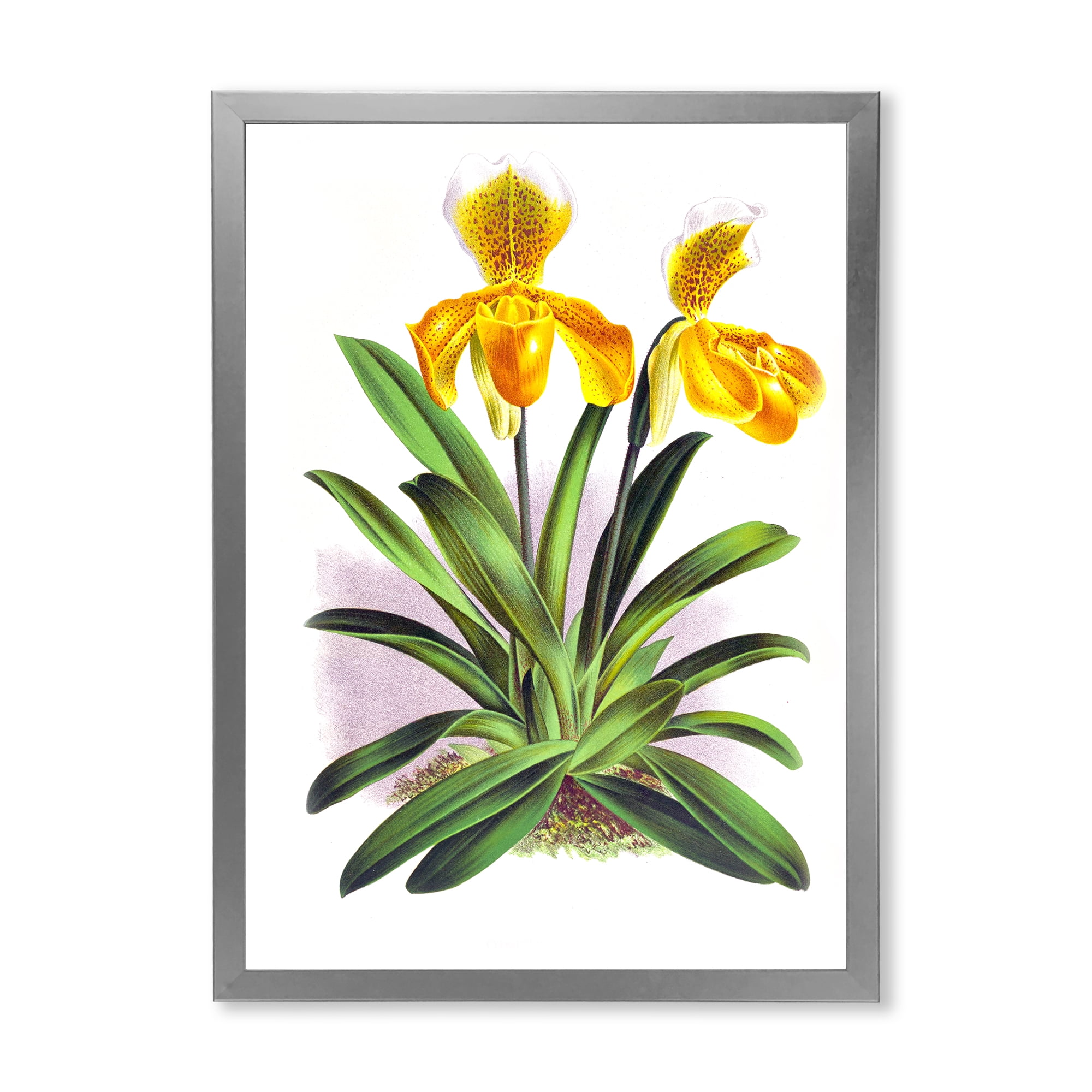 Designart 'Yellow Vintage Orchid' Traditional Framed Art Print