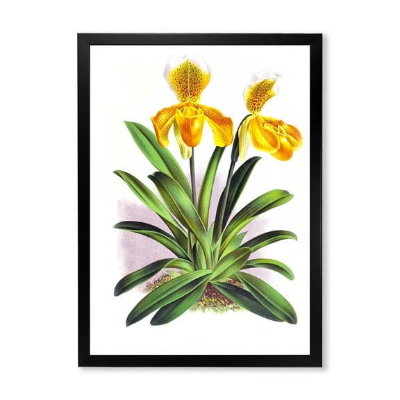 Designart 'Yellow Vintage Orchid' Traditional Framed Art Print