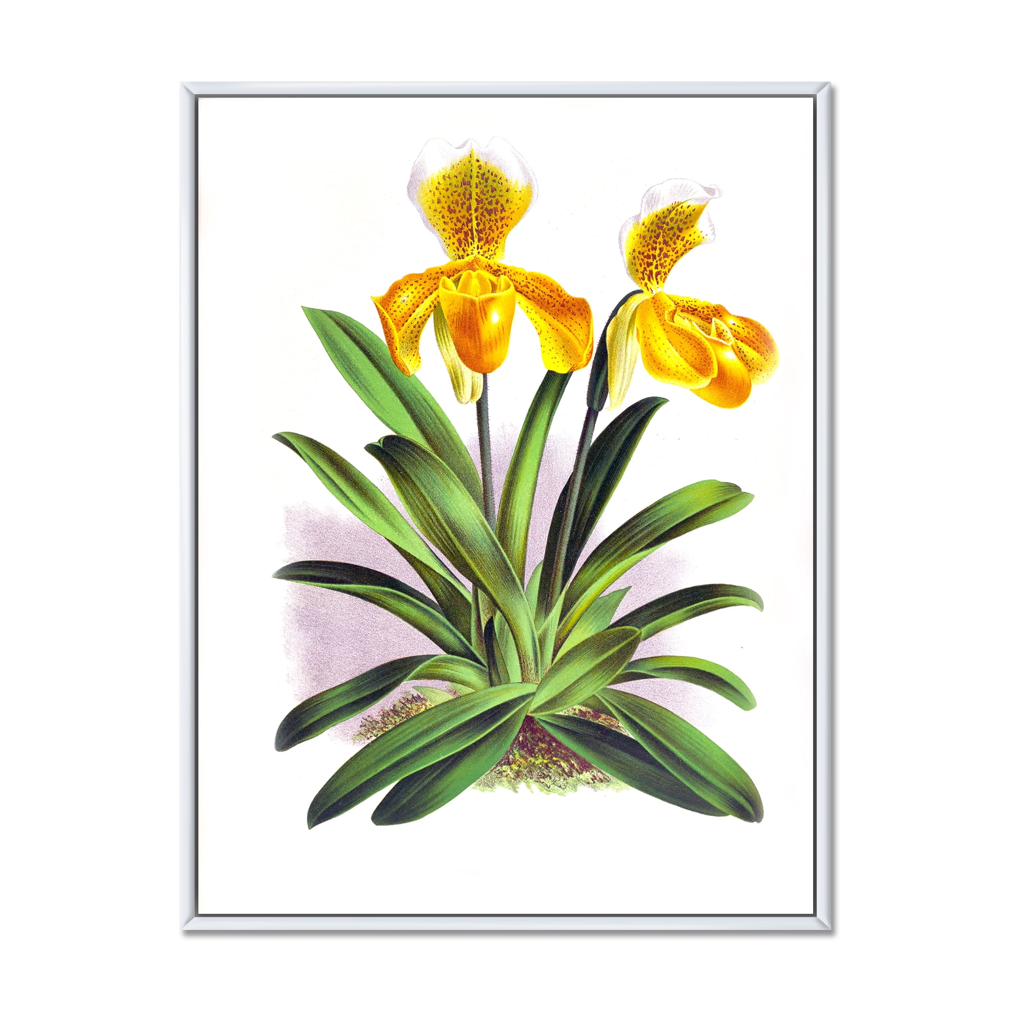 Designart 'Yellow Vintage Orchid' Traditional Framed Canvas Wall Art Print