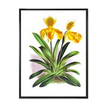 Designart 'Yellow Vintage Orchid' Traditional Framed Canvas Wall Art Print