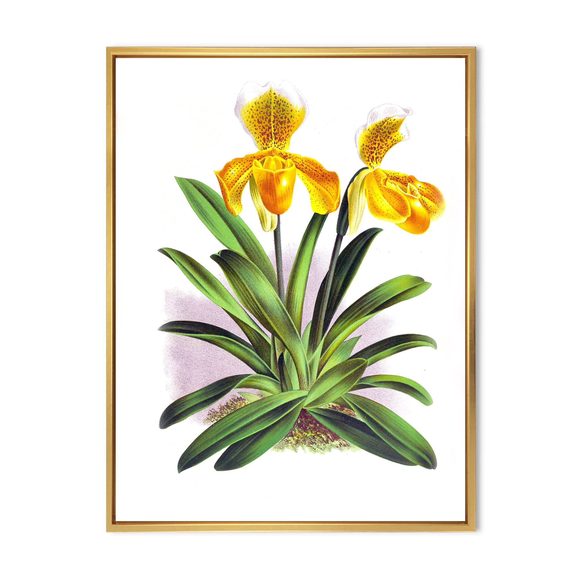 Designart 'Yellow Vintage Orchid' Traditional Framed Canvas Wall Art Print