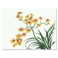 thumbnail image 1 of Designart ' Yellow Vintage Orchids On White ' Traditional Canvas Wall Art Print, 1 of 4