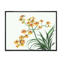 Designart 'Yellow Vintage Orchids On White' Traditional Framed Canvas Wall Art Print