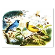 Designart Yellow and Blue Bird In The Wild Traditional Canvas Wall Art Print