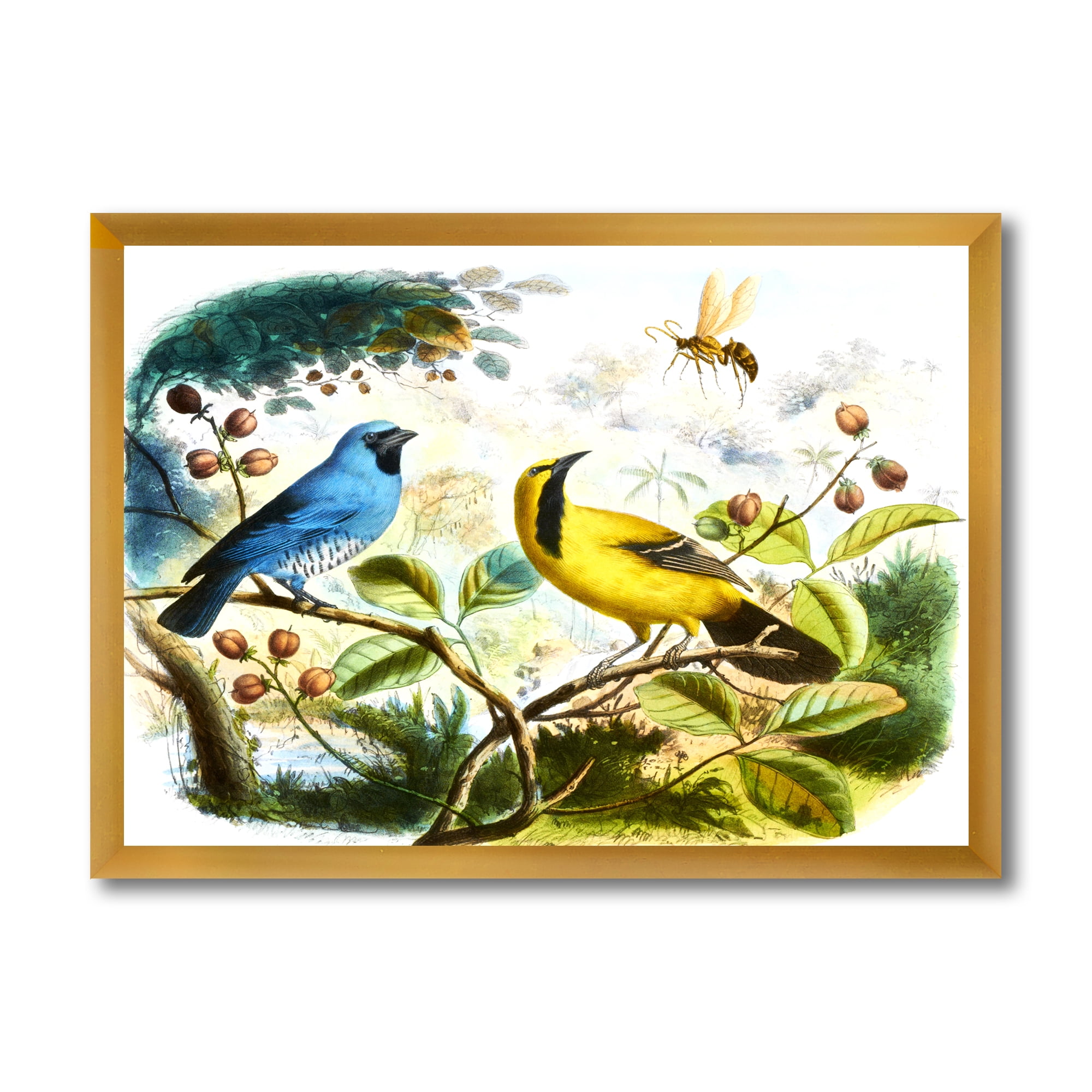 Designart 'Yellow and Blue Bird In The Wild' Traditional Framed Art Print