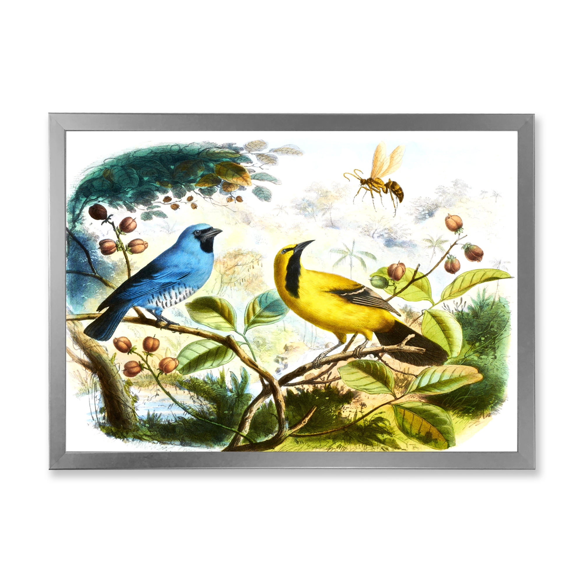 Designart 'Yellow and Blue Bird In The Wild' Traditional Framed Art Print