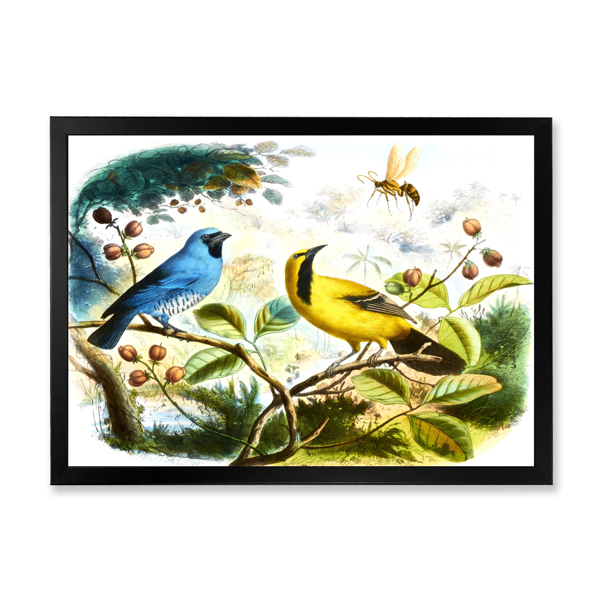 Designart 'Yellow and Blue Bird In The Wild' Traditional Framed Art Print