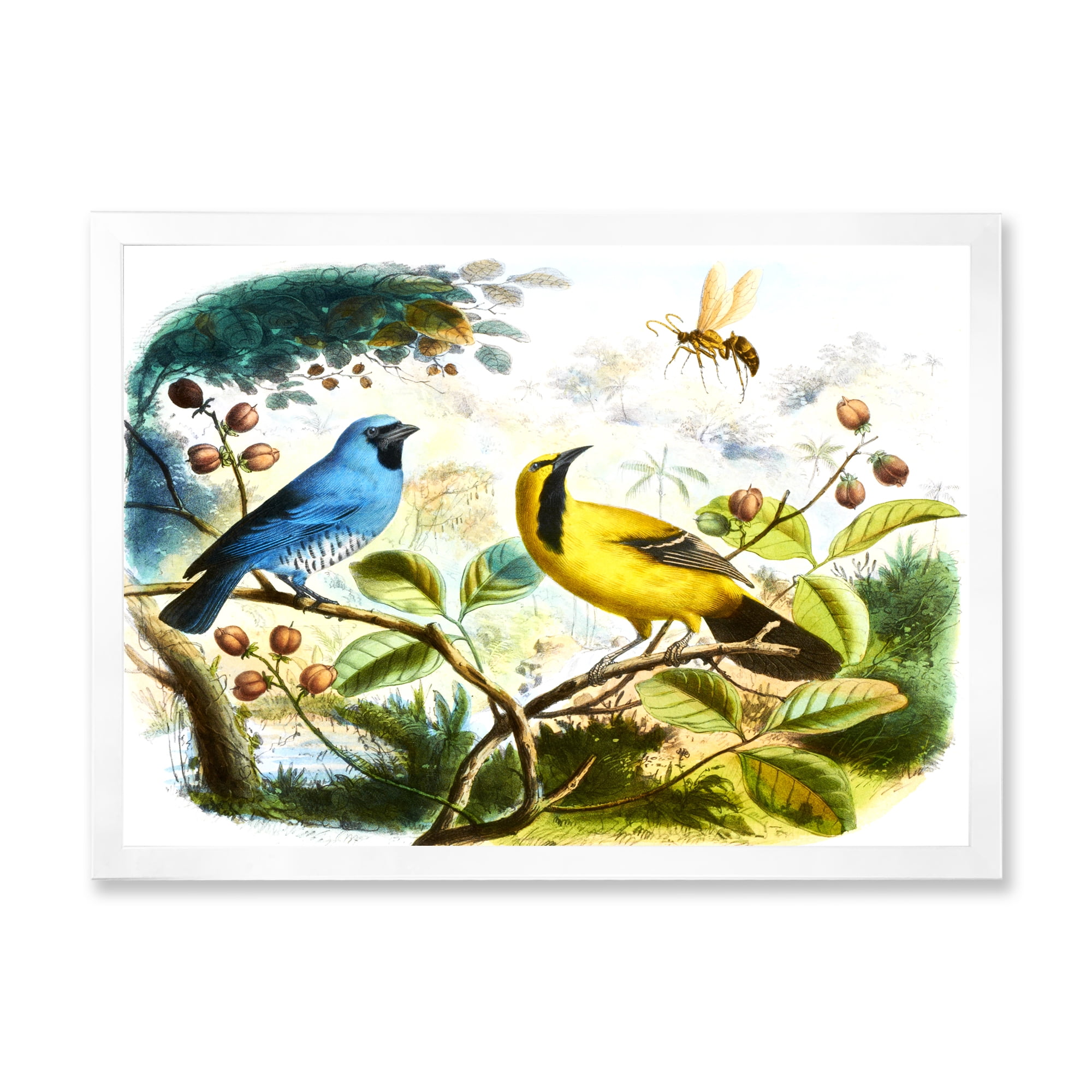 Designart 'Yellow and Blue Bird In The Wild' Traditional Framed Art Print