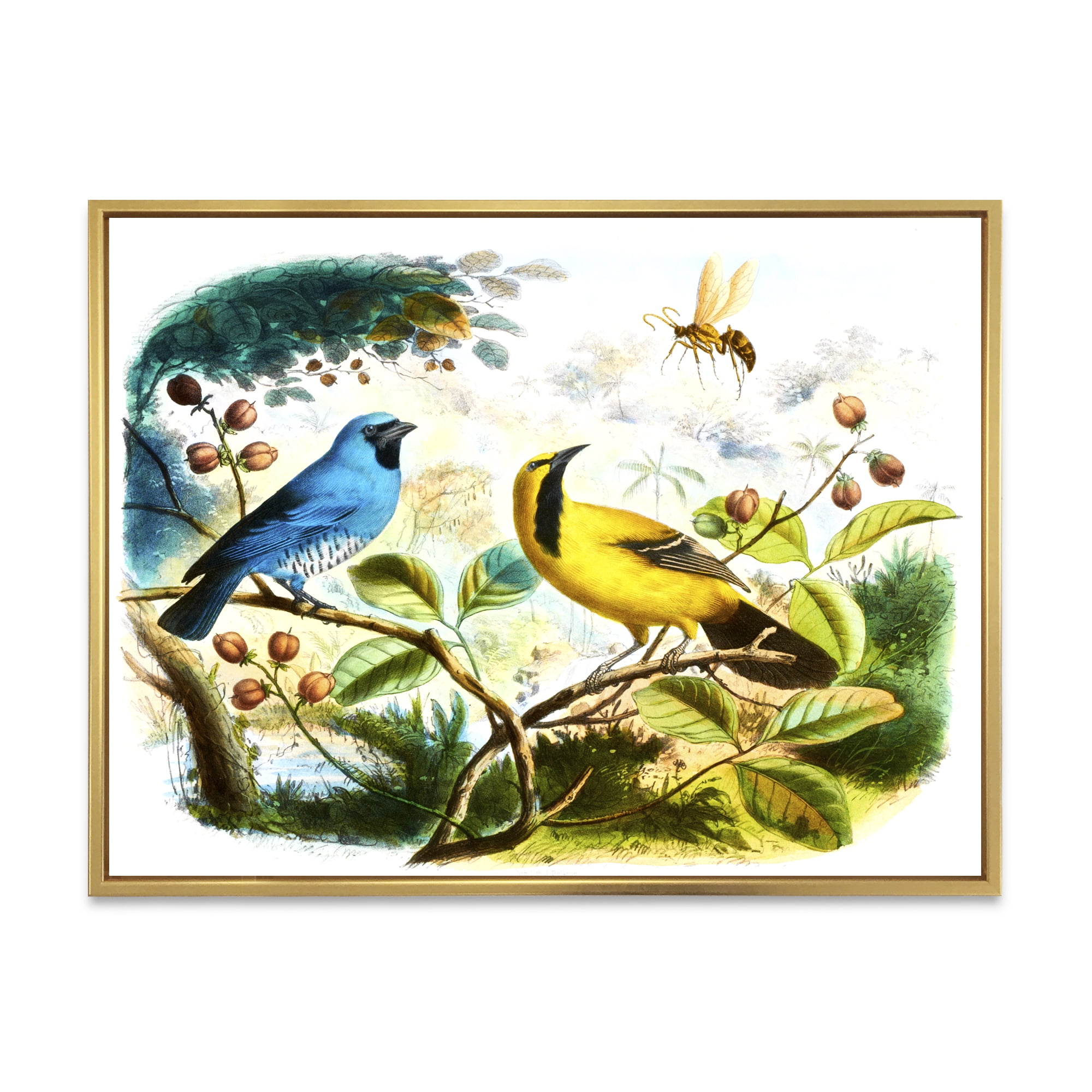 Designart 'Yellow and Blue Bird In The Wild' Traditional Framed Canvas Wall Art Print