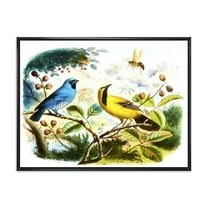 Designart 'Yellow and Blue Bird In The Wild' Traditional Framed Canvas Wall Art Print