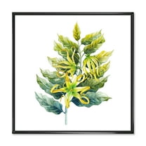 Designart 'Ylang Ylang Flower On White' Traditional Framed Canvas Wall Art Print