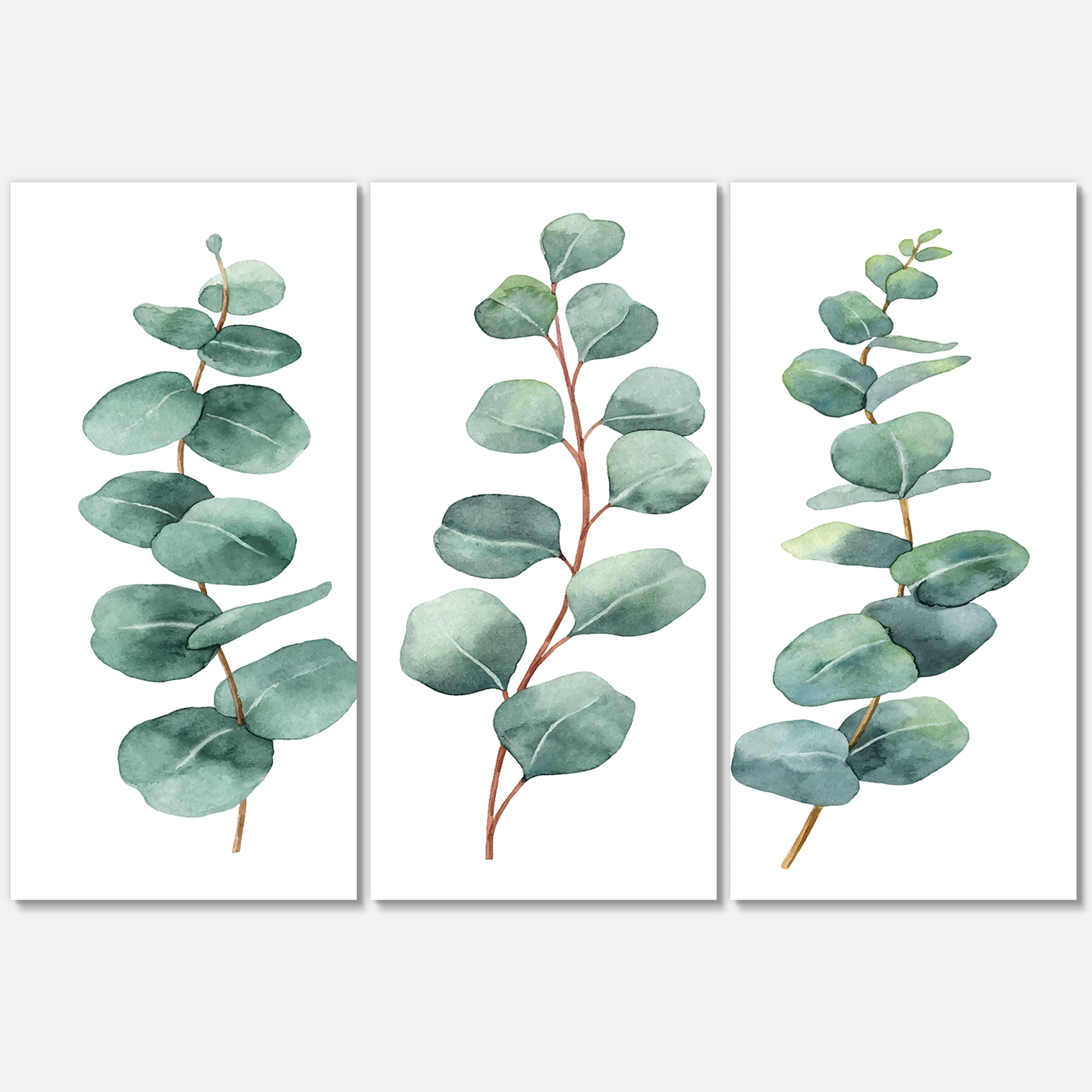 Designart ' Young Eucalyptus Branches and Leaves I ' Traditional Canvas Wall Art Print