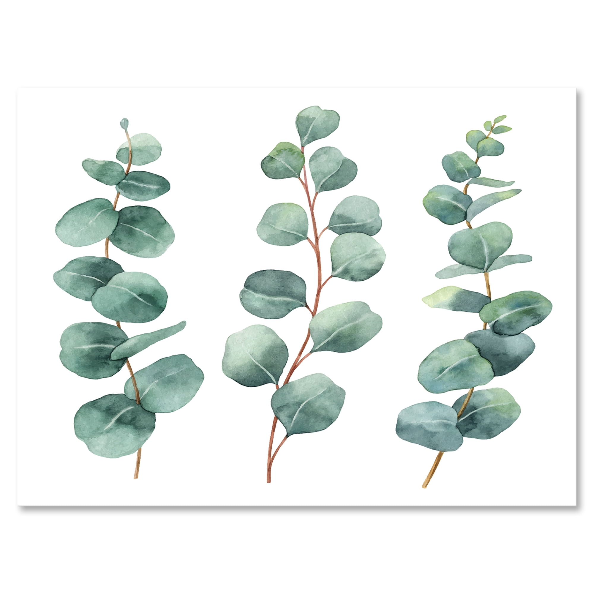 Designart ' Young Eucalyptus Branches and Leaves I ' Traditional Canvas Wall Art Print