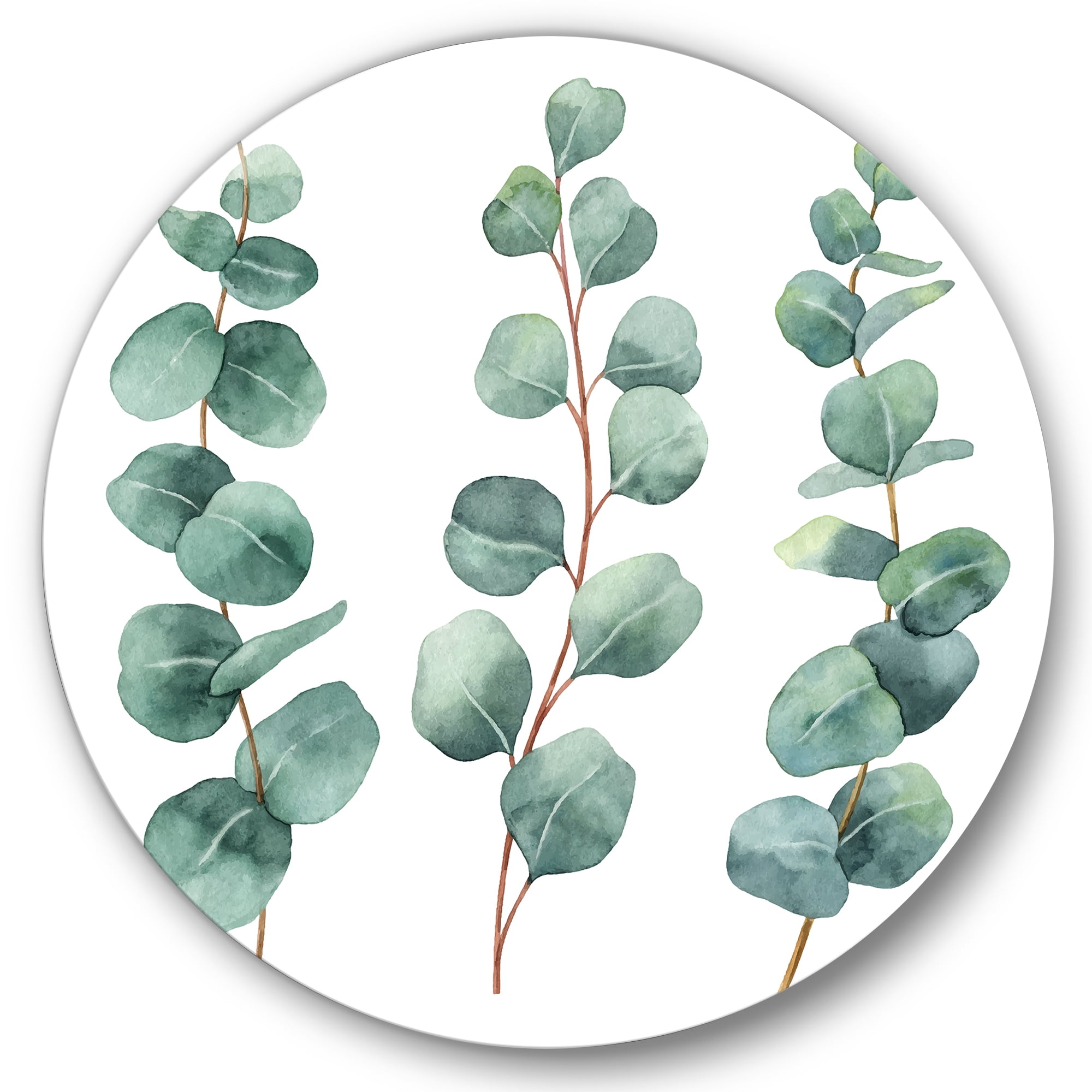 Designart 'Young Eucalyptus Branches and Leaves I' Traditional Circle Metal Wall Art 23x23 - Disc of 23