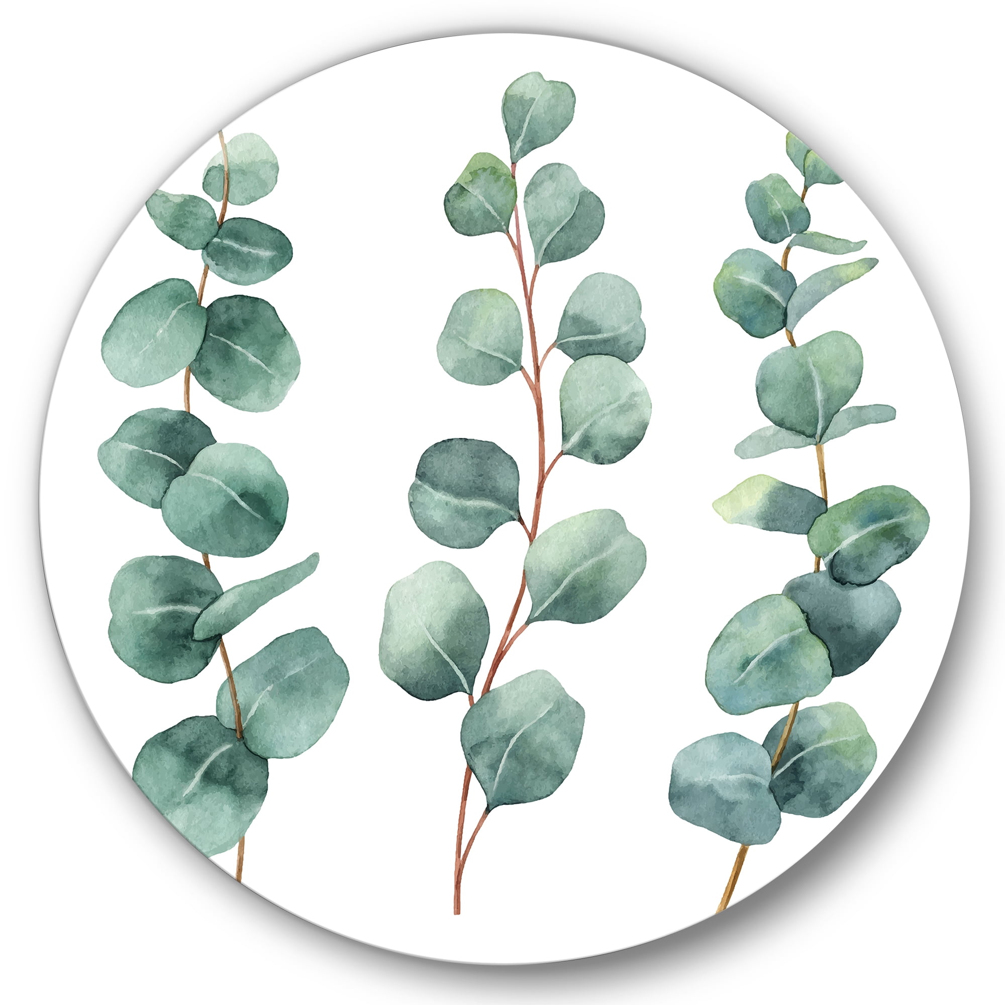 Designart 'Young Eucalyptus Branches and Leaves I' Traditional Circle Metal Wall Art 36x36 - Disc of 36