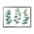 thumbnail image 1 of Designart 'Young Eucalyptus Branches and Leaves I' Traditional Framed Art Print, 1 of 4