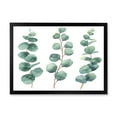 thumbnail image 1 of Designart 'Young Eucalyptus Branches and Leaves I' Traditional Framed Art Print, 1 of 4