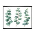 thumbnail image 1 of Designart 'Young Eucalyptus Branches and Leaves I' Traditional Framed Canvas Wall Art Print, 1 of 5