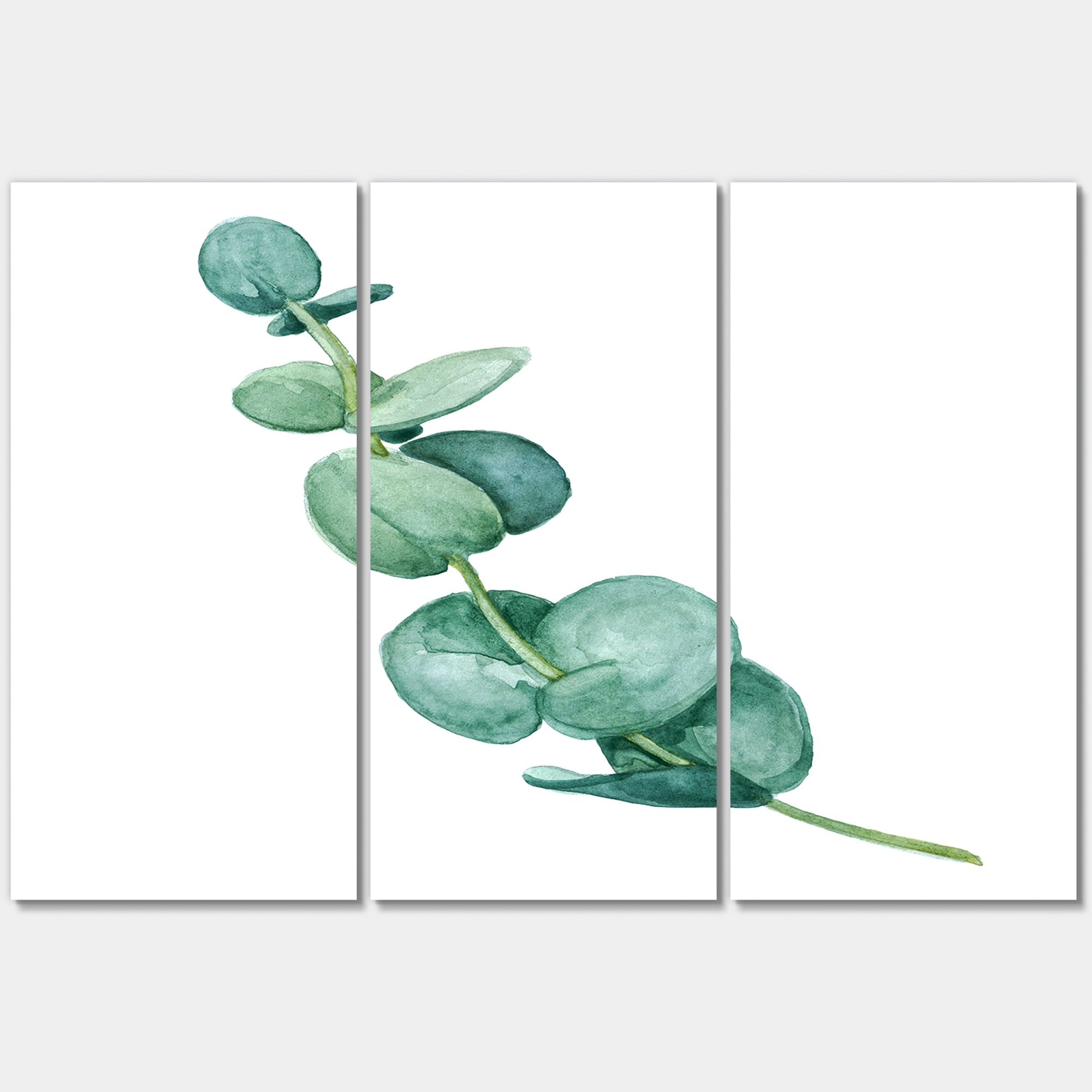 Designart ' Young Eucalyptus Branches and Leaves II ' Traditional Canvas Wall Art Print