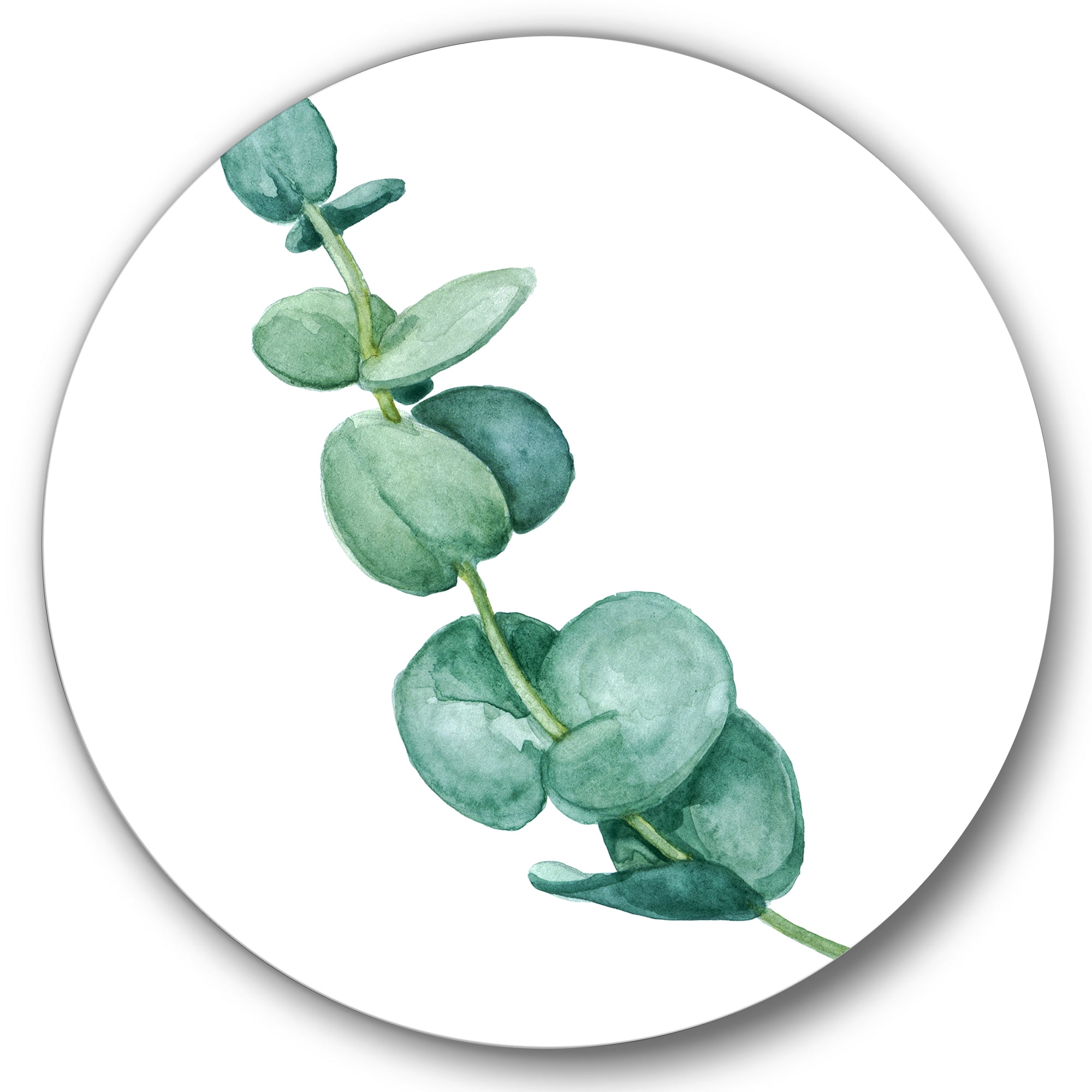 Designart 'Young Eucalyptus Branches and Leaves II' Traditional Circle Metal Wall Art 11x11 - Disc of 11