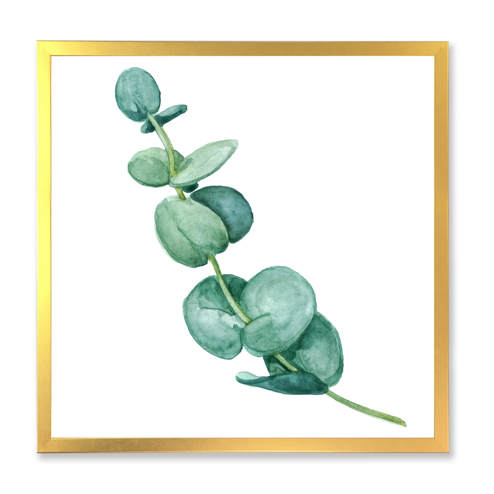 Designart 'Young Eucalyptus Branches and Leaves II' Traditional Framed Art Print