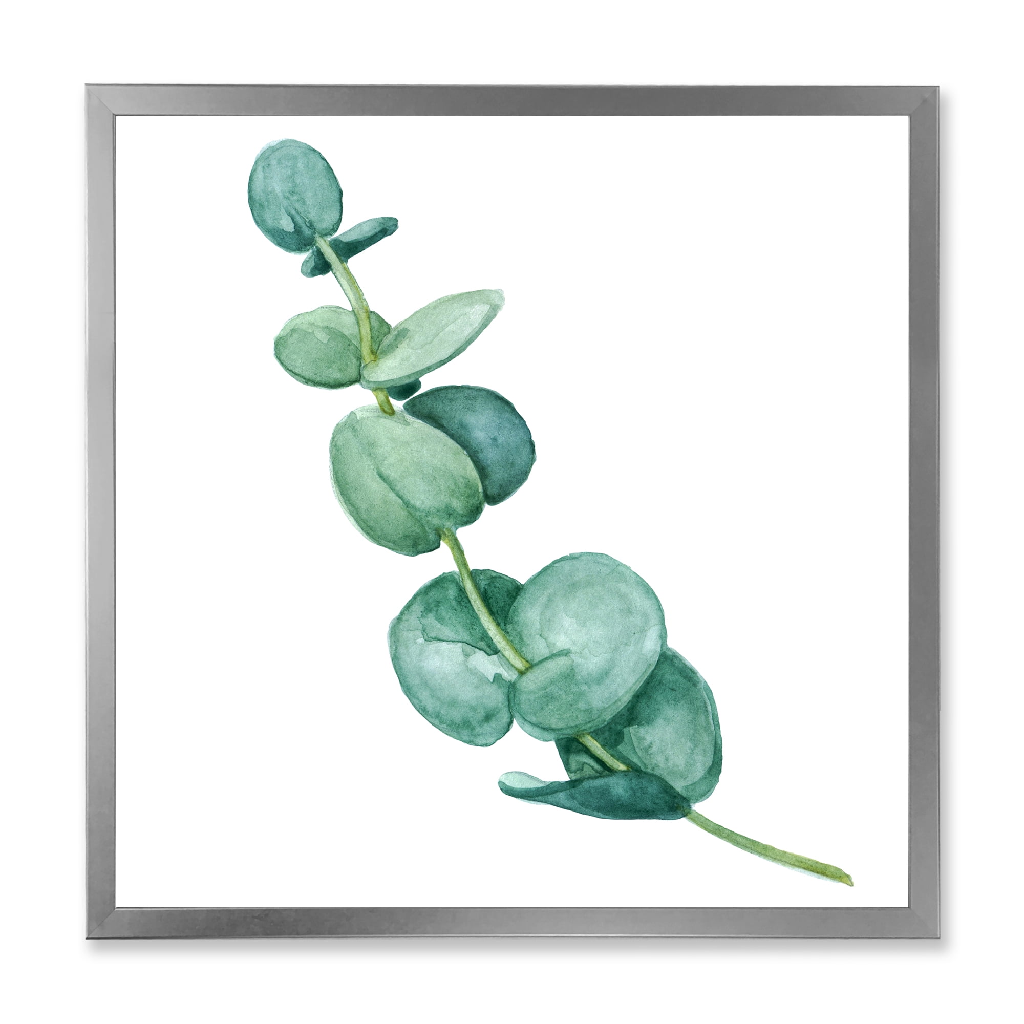 Designart 'Young Eucalyptus Branches and Leaves II' Traditional Framed Art Print