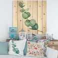 thumbnail image 1 of Designart 'Young Eucalyptus Branches and Leaves II' Traditional Print on Natural Pine Wood, 1 of 5