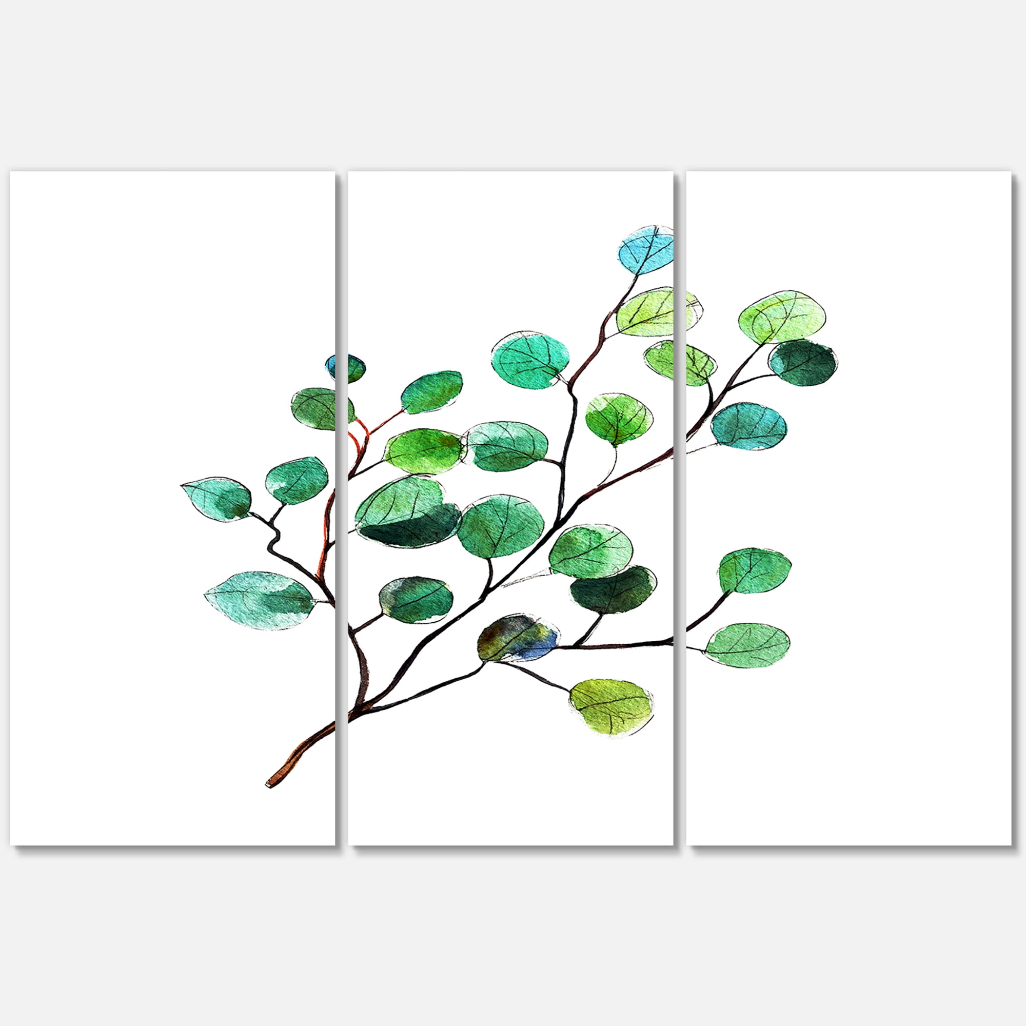 Designart ' Young Eucalyptus Branches and Leaves IV ' Traditional Canvas Wall Art Print