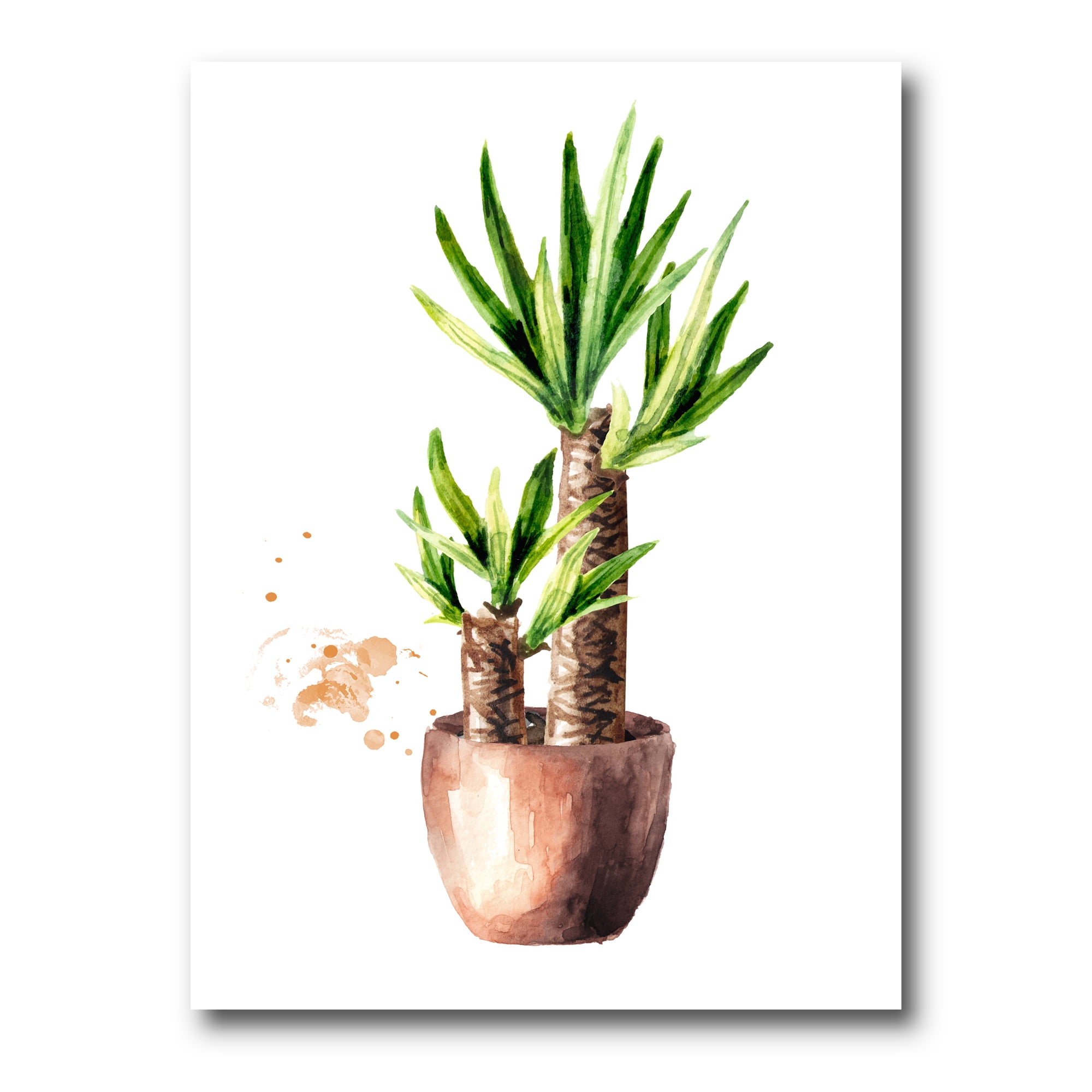 Designart ' Yucca Tree In The Ceramic Flower Pot On White ' Traditional Canvas Wall Art Print