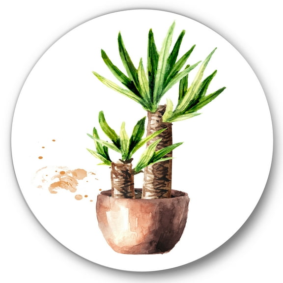 Designart 'Yucca Tree In The Ceramic Flower Pot On White' Traditional Circle Metal Wall Art 36x36 - Disc of 36