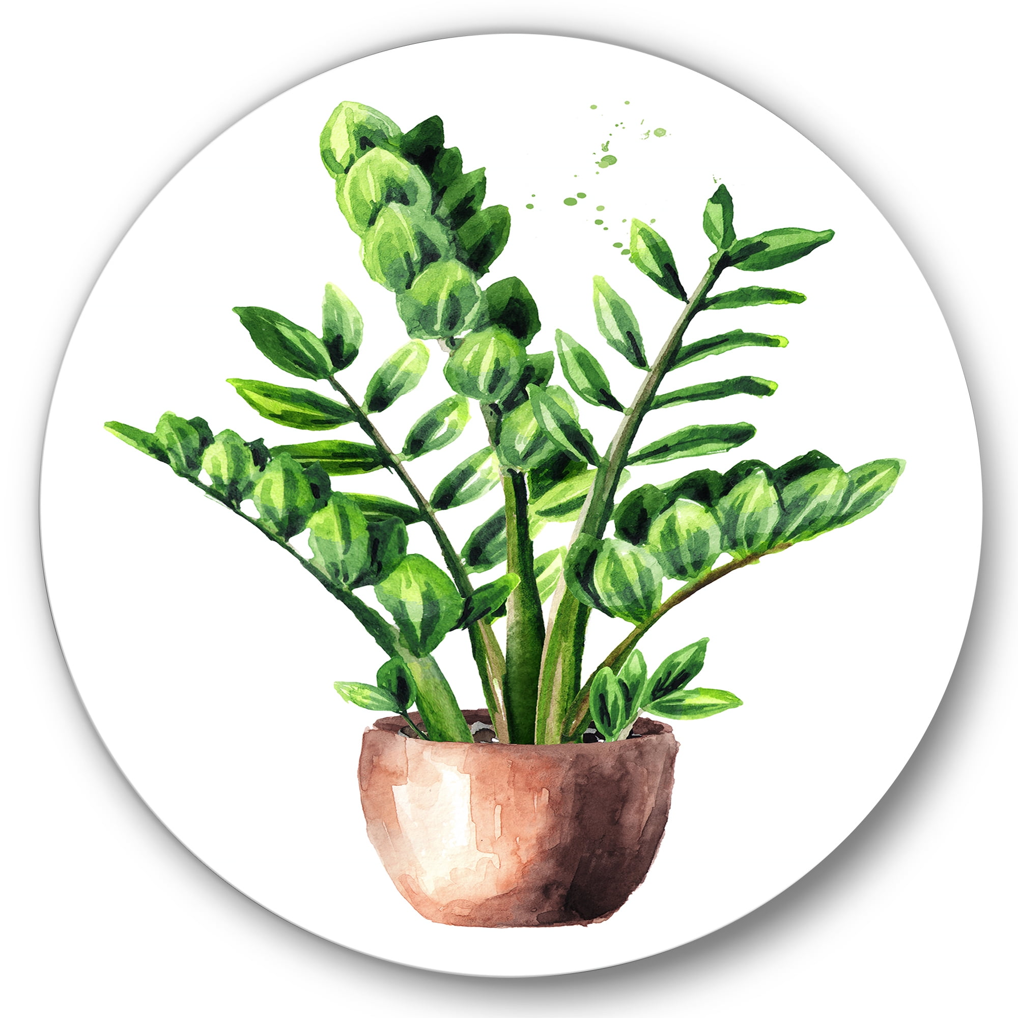 Designart 'Zamioculcas Tropical Plant With Green Leaves On White' Traditional Circle Metal Wall Art 36x36 - Disc of 36