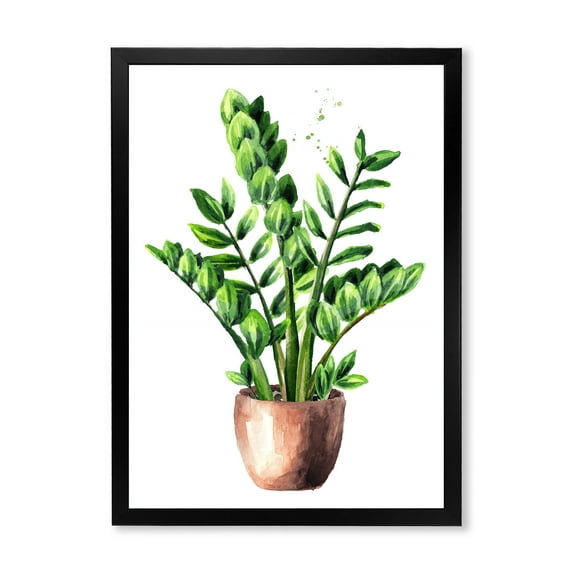 Designart 'Zamioculcas Tropical Plant With Green Leaves On White' Traditional Framed Art Print
