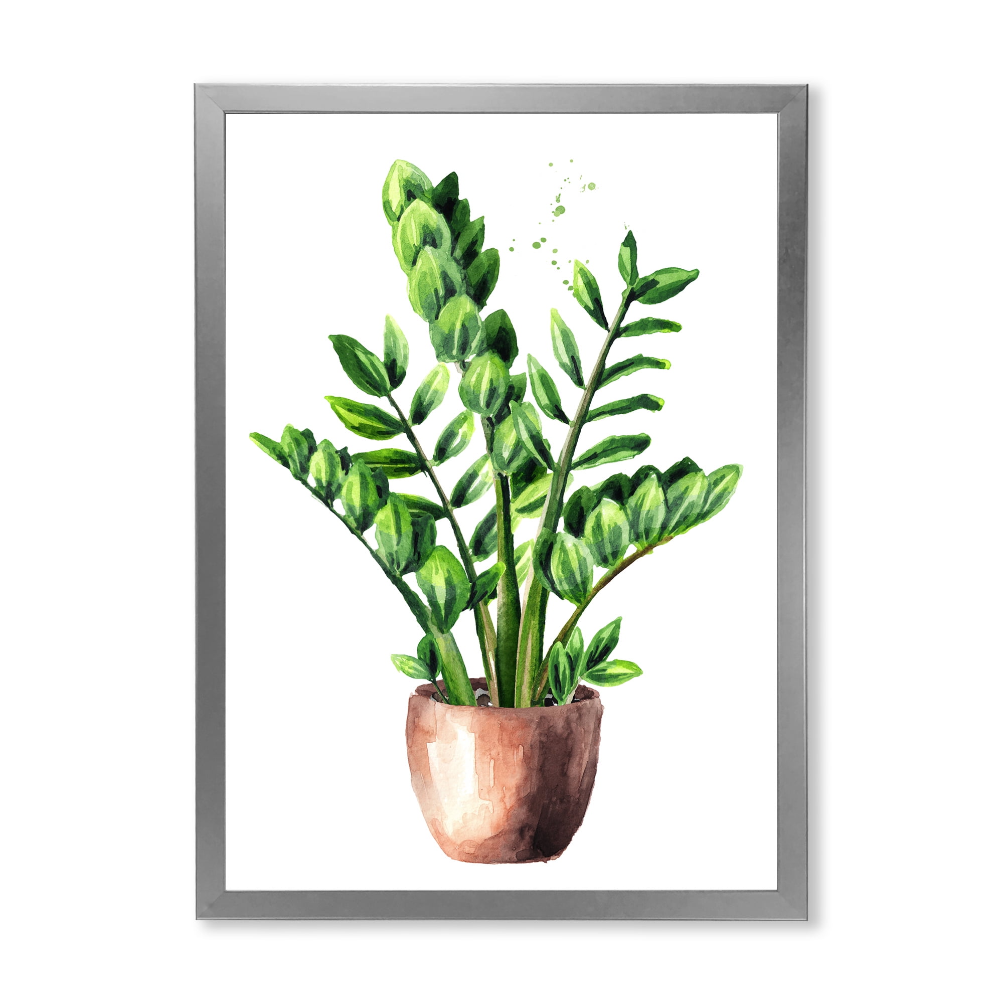 Designart 'Zamioculcas Tropical Plant With Green Leaves On White' Traditional Framed Art Print