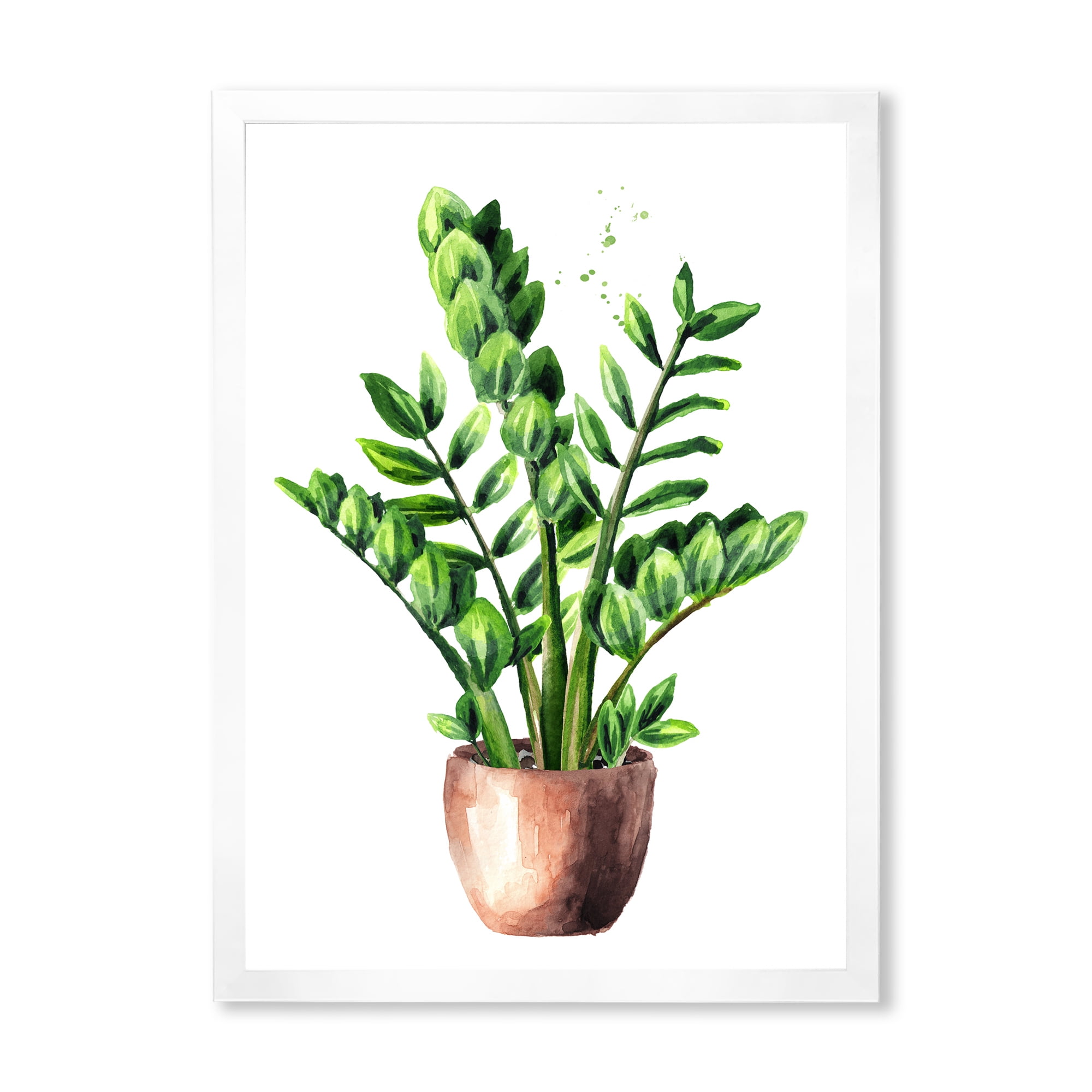 Designart 'Zamioculcas Tropical Plant With Green Leaves On White' Traditional Framed Art Print